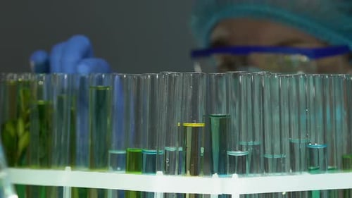 Travailleur de laboratoire prenant le tube à essai avec la substance jaune du support, contrôle de la qualité