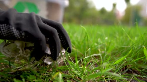 Voluntario limpiando el entorno. Concepto de reciclaje