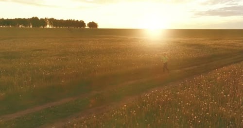 Sporty Child Runs Through a Green Wheat Field