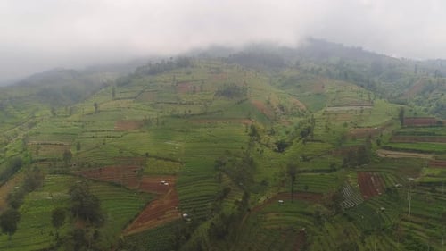 Aerial View of Green Terraced Agriculture on Mountains