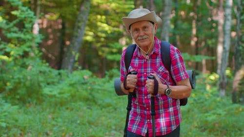 Senior Elderly Tourist Grandfather Training Nordic Walking with Ski Trekking Poles Hiking in Wood