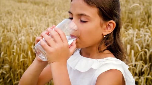 Girl Drinks Water in Golden Wheat Field