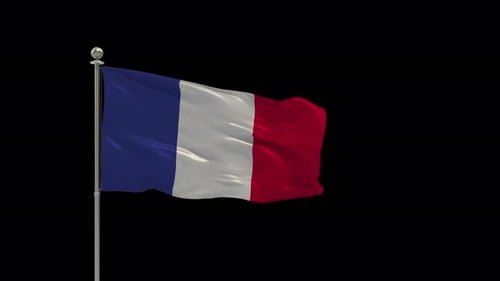 Waving French Flag on Flagpole with Alpha Channel