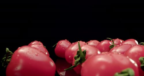 Juicy red cocktail tomatoes super macro close-up