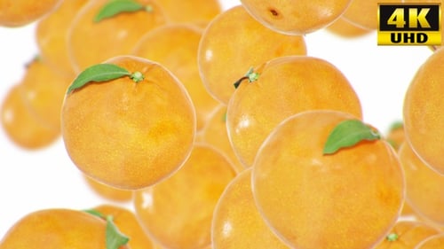 3D Animation of Falling Oranges with Leaves and Varied Backgrounds