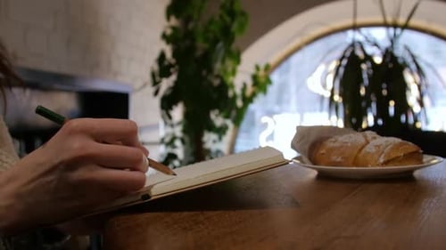 Hands of Young Artist Girl Makes a Sketch in Cafe