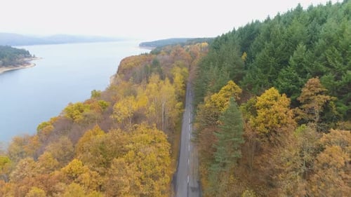 Drone voando acima da floresta de outono em cores amarelas douradas perto do lago, criando uma paisagem épica
