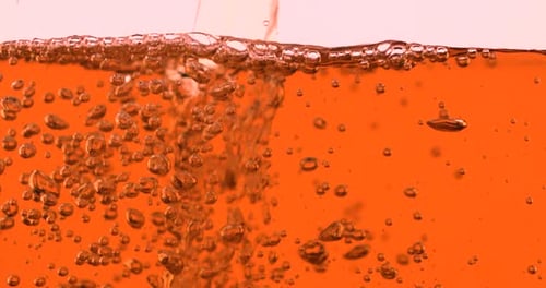 Bubbles in Orange Liquid