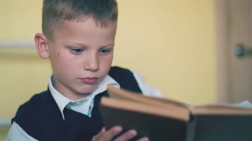 Boy Reads a Book