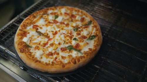 Appetizing Pizza on a Metal Rack