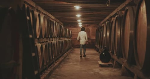 Man Inspecting Wine Barrels in Underground Cellar