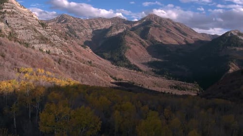 Aerial view of a colorful forest in the mountains during the fall.