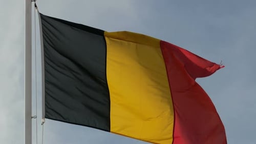 Belgian Flag Waving Proudly in the Wind