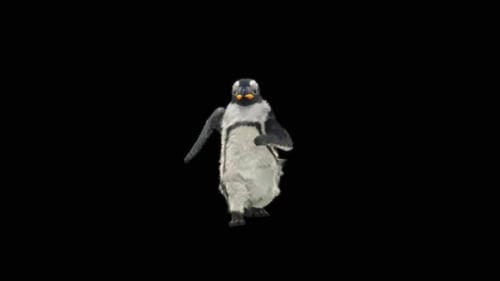 Penguin Dancing HD