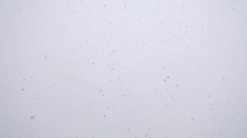 Seamless Video, Snow Flakes Falling at Winter Day