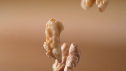 Walnuts falling. Slow Motion.
