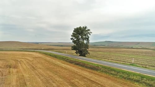 road between the autumn fields