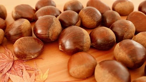 Kastanie mit Herbstblatt