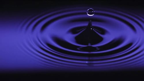 Water Drop Creates Expanding Ripple Effect