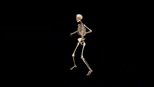 3D Skeleton Dancing Animation for Halloween and Medical Content