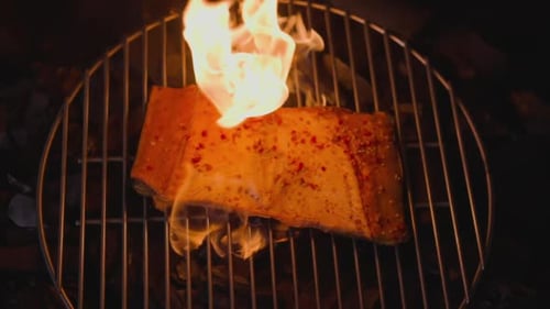 Piece of Seasoned Trout Cooked with Burning Flame on Grill
