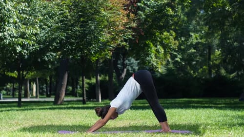 Woman Practicing Yoga Poses in Sunny Park