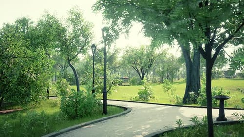 Peaceful Park Pathway with Lush Green Trees Camera Pan