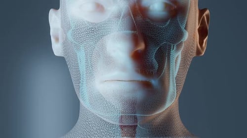 Anatomia do estômago no corpo masculino