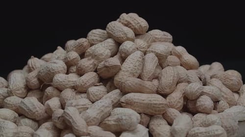 Pile of Peanuts Close Up Against Black Backdrop