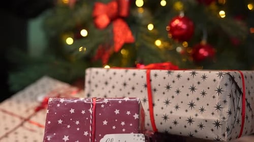 Christmas Presents Under the Decorated Christmas Tree