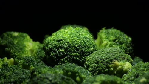 Fresh Green Broccoli Close Up Studio Shot