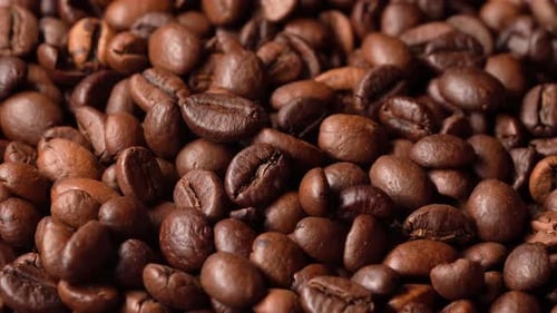 Close up of Coffee Beans