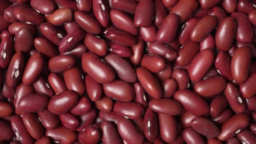 Close Up of Pile of Raw Kidney Beans