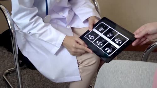 Pregnant Woman and Gynecologist Doctor at Hospital