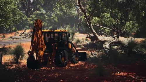 Tractor excavador en Bush Forest