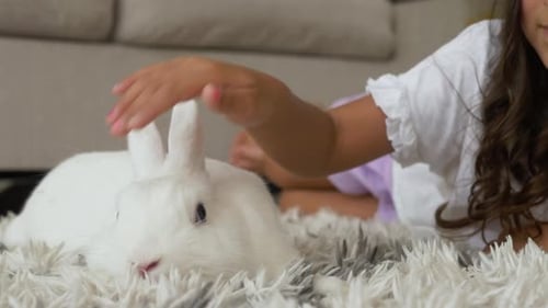 Girl Pets White Rabbit on Fluffy Rug