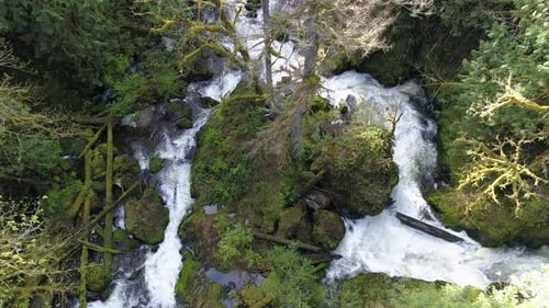 Above View Looking Down On Fast Moving River Rapids Wet Moss Covered Boulder Trees