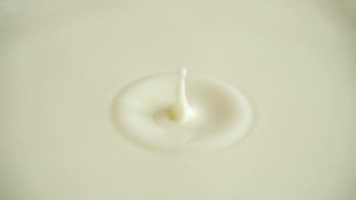A drop of milk falls into the milky surface. Slow motion.