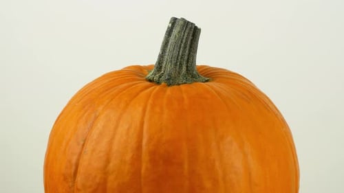 Abóbora de Halloween com um fundo branco gira 360. Close-up de uma abóbora laranja.