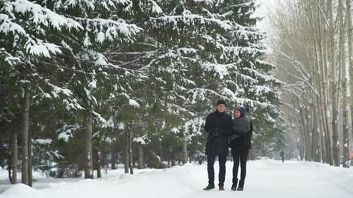 Mann und Frau gehen im Winterpark spazieren