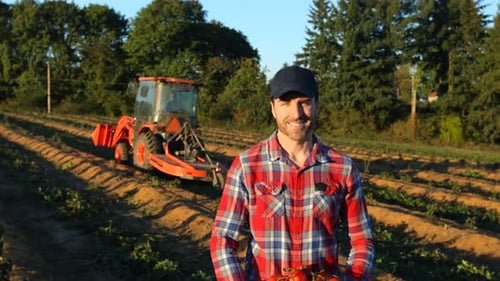 Portrait of farmer with basket of tomatoes