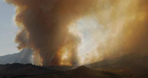 Forest Fire Burning Mountainside