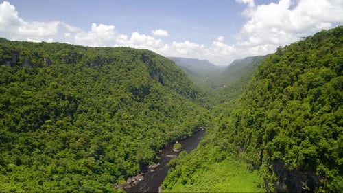 Zeitraffer im Amazonas-Dschungel