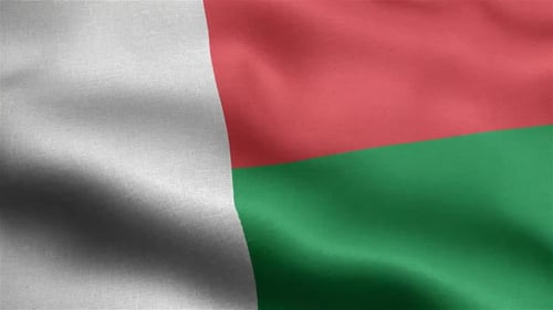 Realistic Madagascar Flag Waving Seamless Loop