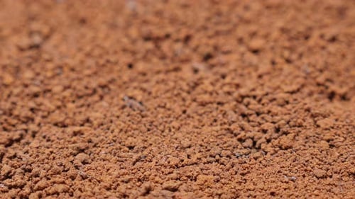 Textured Granular Close-Up of Reddish-Brown Material