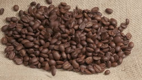 Roasted Coffee Beans Poured onto Burlap Sack