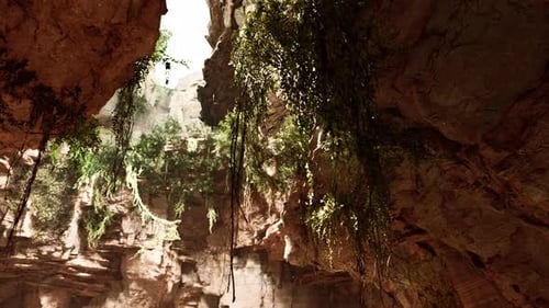 Large Fairy Rocky Cave with Green Plants