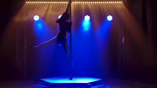 Pole Dance Woman Training, Beautiful Young Woman Doing Pole Dance, Female Dancer Silhouette, Fitness