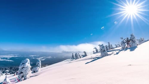 Wunderschöne Winterlandschaft mit schneebedeckten Bäumen. Winterliche Berge.