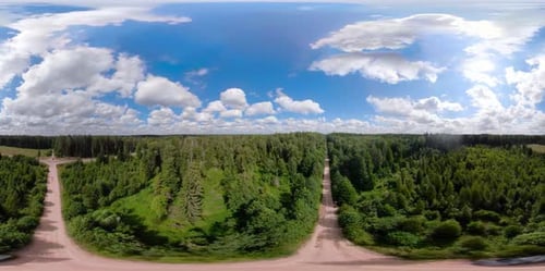 VR360 Vuelo sobre el bosque verde